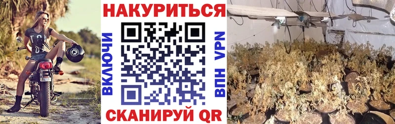Купить закладку Карабаново Alpha-PVP  Канабис  Меф мяу мяу  Гашиш  COCAIN 