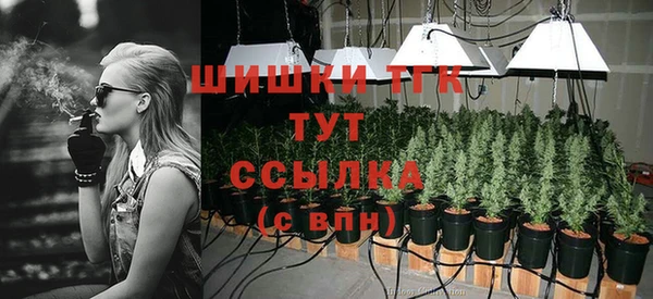 мяу мяу мука Зерноград