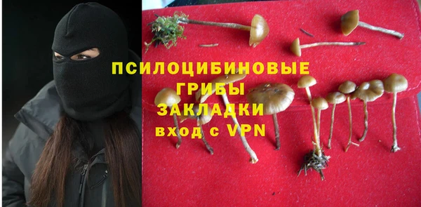 гидропоника Зеленодольск