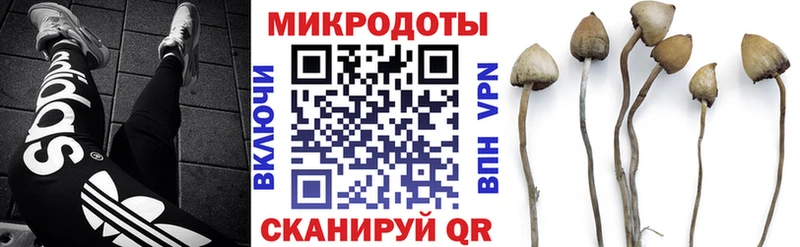 Галлюциногенные грибы Psilocybine cubensis  где купить наркотик  Карабаново 
